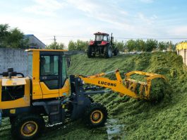Cina: Heilongjiang, al via raccolta di colture destinate all’insilamento (2)