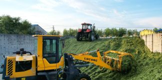 Cina: Heilongjiang, al via raccolta di colture destinate all’insilamento (2)
