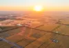 Cina: risaie in maturazione nello Heilongjiang (1)