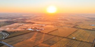 Cina: risaie in maturazione nello Heilongjiang (1)