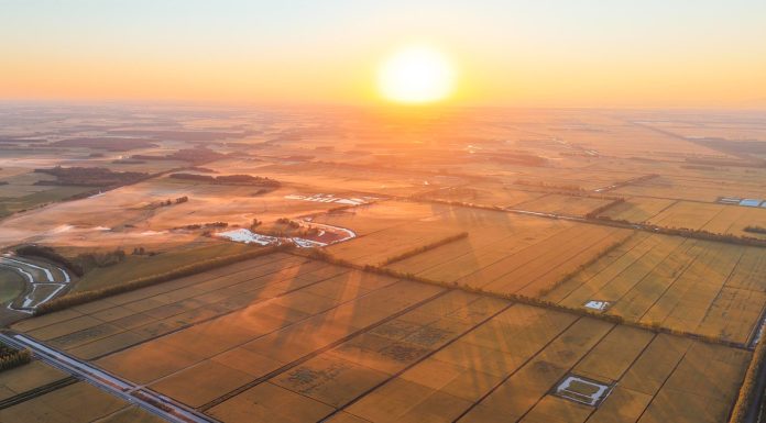 Cina: risaie in maturazione nello Heilongjiang (1)