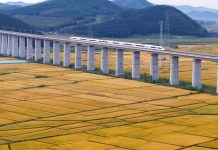 Cina: risaie in maturazione nello Heilongjiang (3)