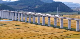 Cina: risaie in maturazione nello Heilongjiang (3)