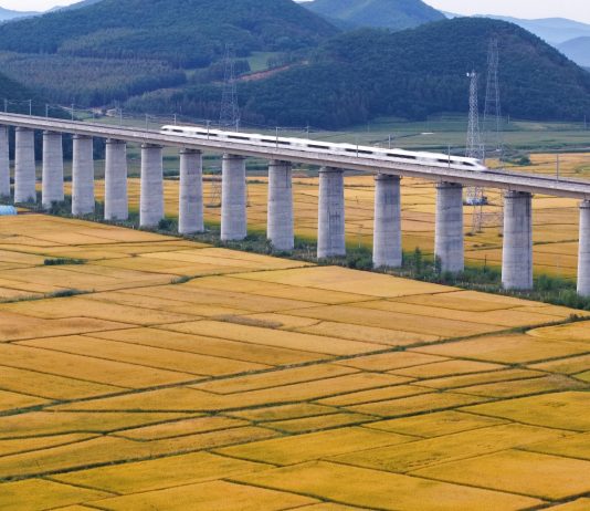 Cina: risaie in maturazione nello Heilongjiang (3)