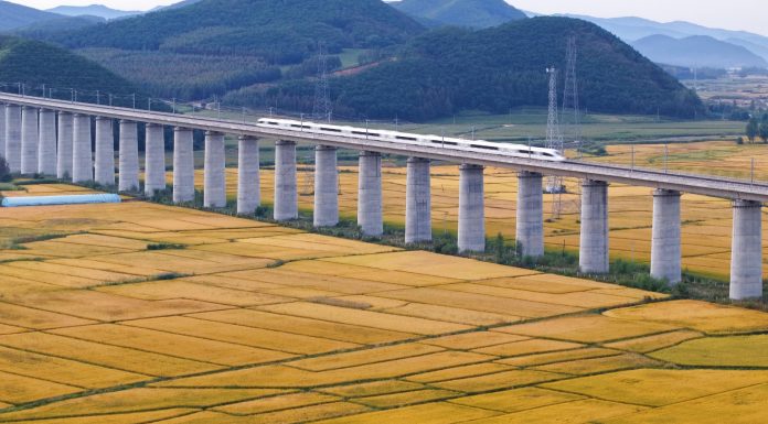 Cina: risaie in maturazione nello Heilongjiang (3)