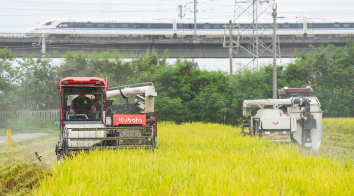 Cina: raccolta del riso nel Sichuan con l’impiego di macchinari agricoli (2)