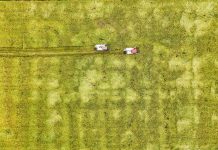 Cina: raccolta del riso nel Sichuan con l’impiego di macchinari agricoli (3)