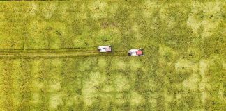 Cina: raccolta del riso nel Sichuan con l’impiego di macchinari agricoli (3)