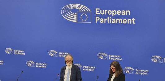 Ue, Ruotolo “Su social e minori serve una legge europea”
