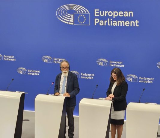 Ue, Ruotolo “Su social e minori serve una legge europea”