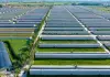 Cina: Minning, da terra deserta a dimora per 60mila persone (2)