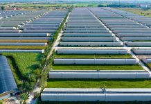 Cina: Minning, da terra deserta a dimora per 60mila persone (2)