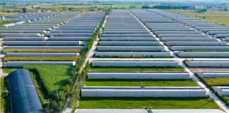 Cina: Minning, da terra deserta a dimora per 60mila persone (2)