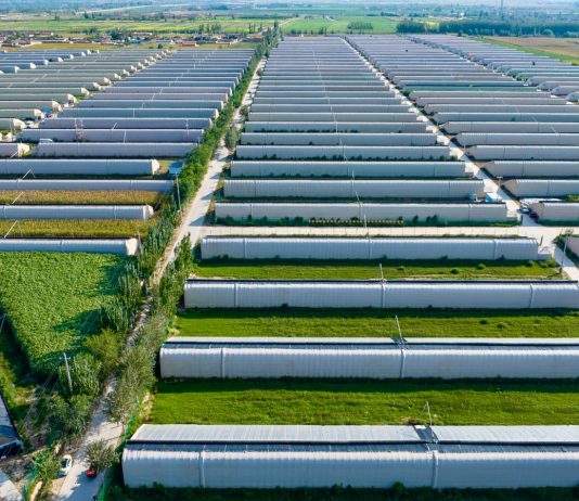 Cina: Minning, da terra deserta a dimora per 60mila persone (2)