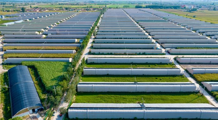 Cina: Minning, da terra deserta a dimora per 60mila persone (2)