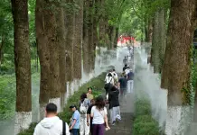 Cina: Hubei, Xiangyang valorizza turismo notturno e tradizione (1)