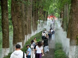 Cina: Hubei, Xiangyang valorizza turismo notturno e tradizione (1)