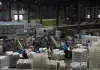 Cina: Hubei, tecnologia e filiera per la radice di loto di Honghu (3)