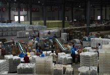 Cina: Hubei, tecnologia e filiera per la radice di loto di Honghu (3)