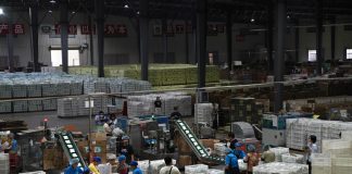 Cina: Hubei, tecnologia e filiera per la radice di loto di Honghu (3)