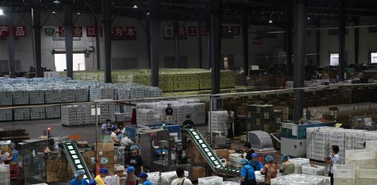 Cina: Hubei, tecnologia e filiera per la radice di loto di Honghu (3)