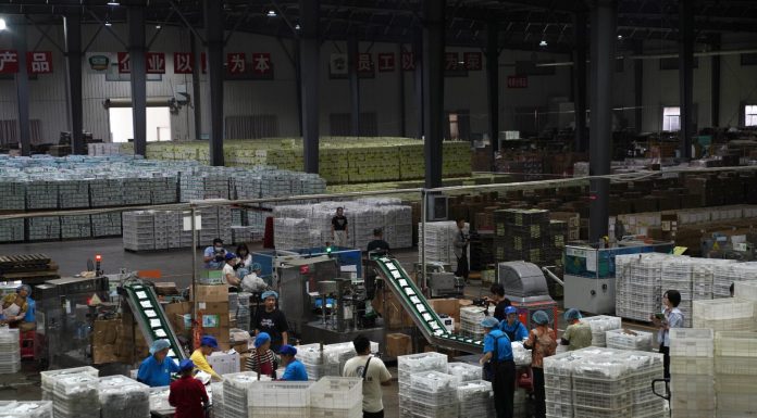 Cina: Hubei, tecnologia e filiera per la radice di loto di Honghu (3)