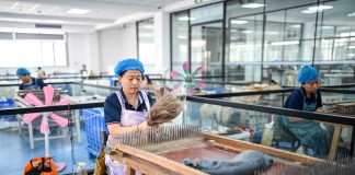 Cina: nello Shandong cresce l’industria dei prodotti per capelli (2)
