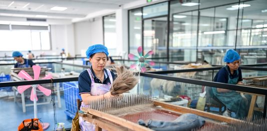Cina: nello Shandong cresce l’industria dei prodotti per capelli (2)