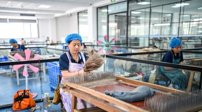 Cina: nello Shandong cresce l’industria dei prodotti per capelli (2)