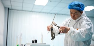 Cina: nello Shandong cresce l’industria dei prodotti per capelli (3)