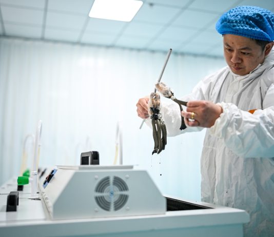Cina: nello Shandong cresce l’industria dei prodotti per capelli (3)