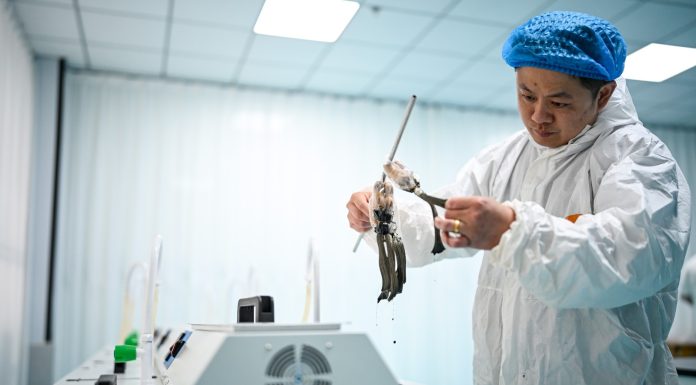 Cina: nello Shandong cresce l’industria dei prodotti per capelli (3)
