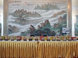 Gli Stati Uniti restituiscono alla Cina 64 reperti fossili e culturali (3)