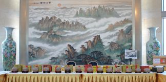 Gli Stati Uniti restituiscono alla Cina 64 reperti fossili e culturali (3)