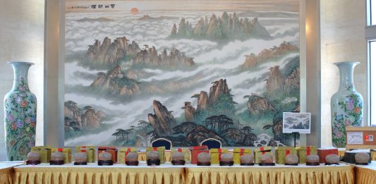 Gli Stati Uniti restituiscono alla Cina 64 reperti fossili e culturali (3)