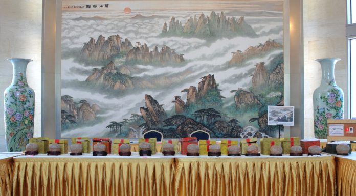 Gli Stati Uniti restituiscono alla Cina 64 reperti fossili e culturali (3)