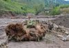 Cina: colata di fango nel Sichuan, due morti e tre dispersi (3)