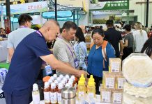 Cina: Nanning, aperta al pubblico la 23esima China-ASEAN Expo (2)