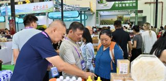 Cina: Nanning, aperta al pubblico la 23esima China-ASEAN Expo (2)