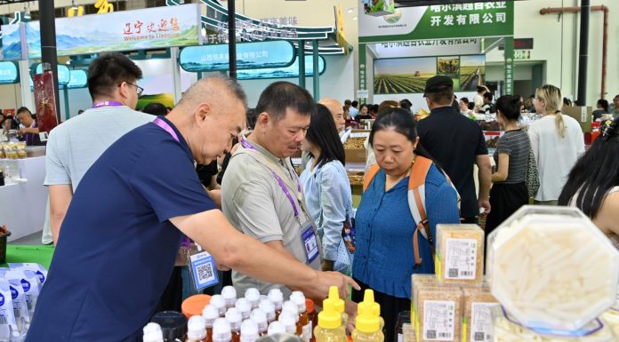 Cina: Nanning, aperta al pubblico la 23esima China-ASEAN Expo (2)