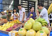 Cina: Nanning, aperta al pubblico la 23esima China-ASEAN Expo (3)
