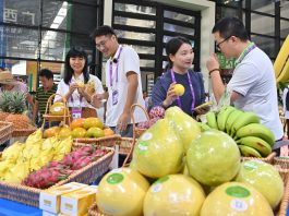 Cina: Nanning, aperta al pubblico la 23esima China-ASEAN Expo (3)