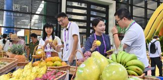 Cina: Nanning, aperta al pubblico la 23esima China-ASEAN Expo (3)