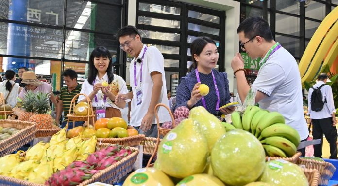 Cina: Nanning, aperta al pubblico la 23esima China-ASEAN Expo (3)