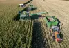 Cina: al via la stagione del raccolto nello Heilongjiang (2)