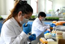 Cina: Pingluo si afferma come polo della produzione di sementi (3)