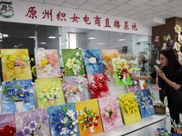 Cina: patrimonio immateriale ed e-commerce creano lavoro nel Ningxia (1)