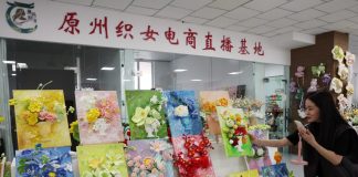 Cina: patrimonio immateriale ed e-commerce creano lavoro nel Ningxia (1)