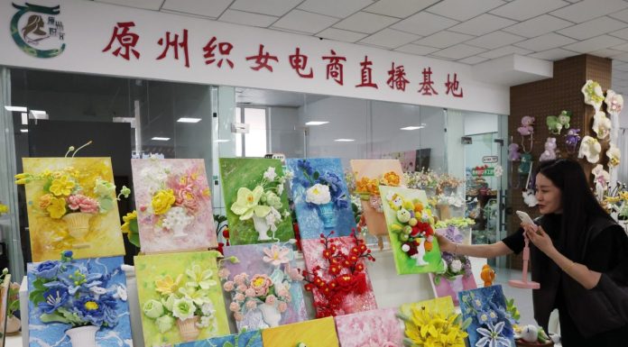 Cina: patrimonio immateriale ed e-commerce creano lavoro nel Ningxia (1)
