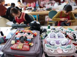 Cina: patrimonio immateriale ed e-commerce creano lavoro nel Ningxia (2)